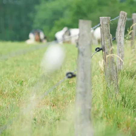 Bed & Breakfast Barvaux, 4*