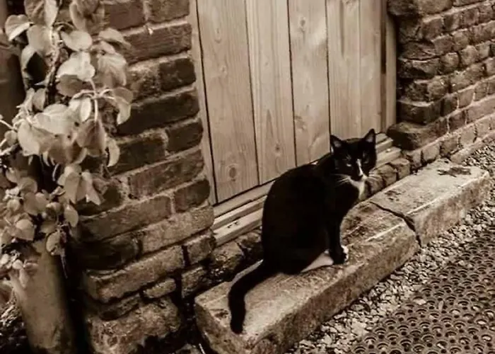 Barvaux, Frühstückspension